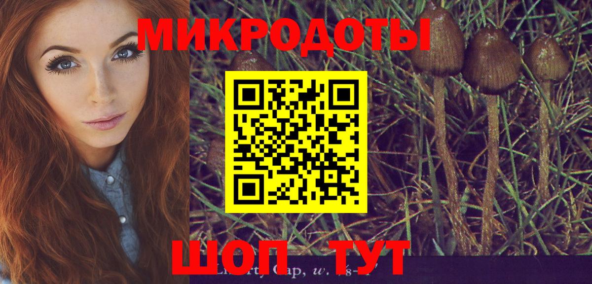 Псилоцибиновые грибы Psilocybine cubensis Нерюнгри