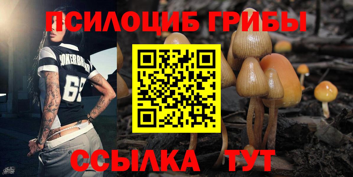 Галлюциногенные грибы ЛСД  Вход с VPN  Нерюнгри 